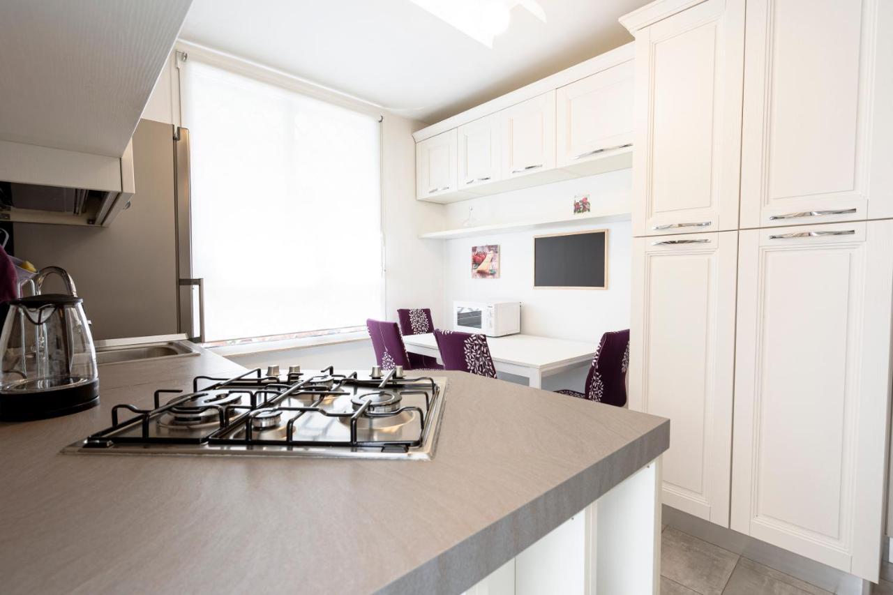 Appia Purple Terrace Apartment In 罗马 外观 照片